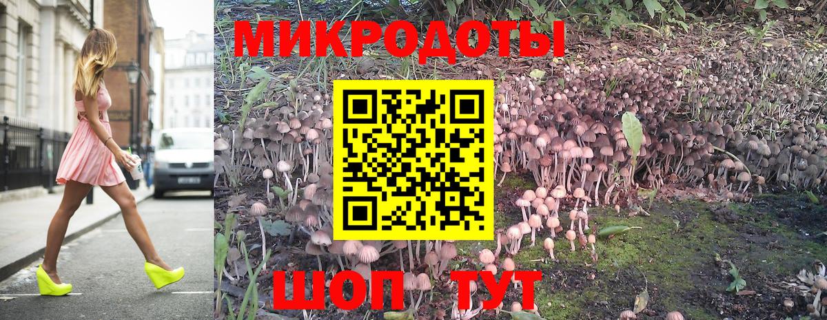 Грязи  Псилоцибиновые грибы ЛСД  Вход с VPN  Псилоцибиновые грибы мухоморы 