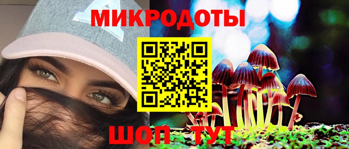 Псилоцибиновые грибы Psilocybe Грязи